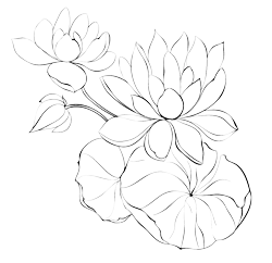 Lotus_Flower Outline 3